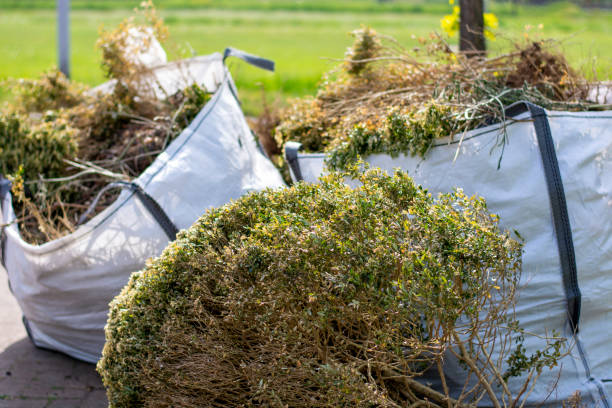 Shed Removal in Decordova, TX